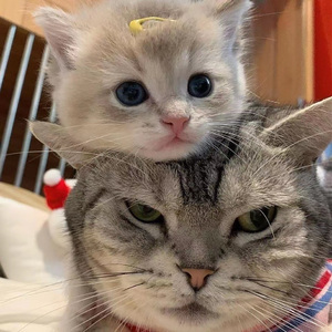 逼对逼视频对“白
